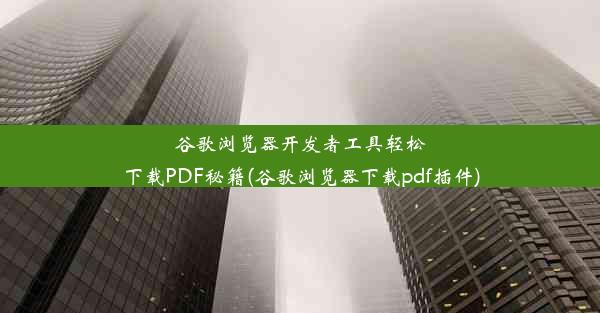 谷歌浏览器开发者工具轻松下载PDF秘籍(谷歌浏览器下载pdf插件)