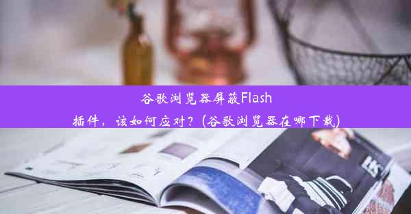 谷歌浏览器屏蔽Flash插件，该如何应对？(谷歌浏览器在哪下载)