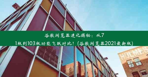 谷歌浏览器进化揭秘：从71版到103版功能飞跃对比！(谷歌浏览器2021最新版)