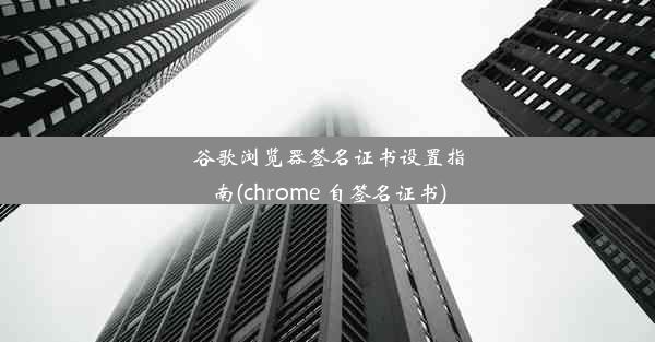 谷歌浏览器签名证书设置指南(chrome 自签名证书)