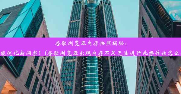 谷歌浏览器内存快照揭秘：性能优化新洞察！(谷歌浏览器出现内存不足无法进行此操作该怎么办)