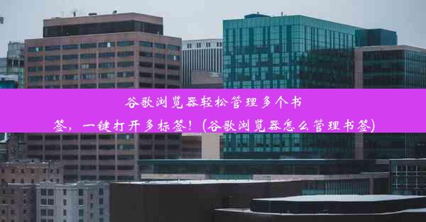 谷歌浏览器轻松管理多个书签，一键打开多标签！(谷歌浏览器怎么管理书签)