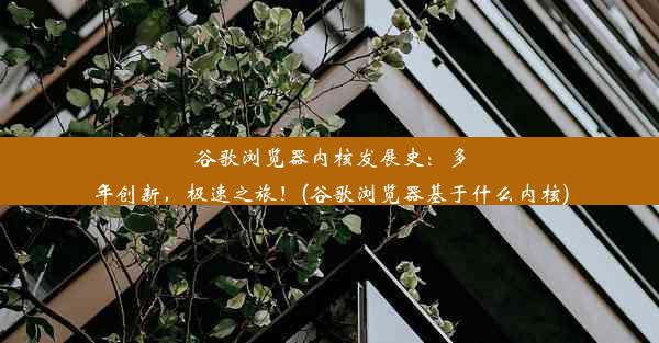 谷歌浏览器内核发展史：多年创新，极速之旅！(谷歌浏览器基于什么内核)