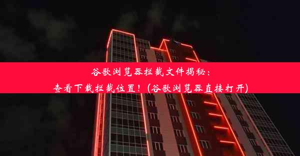 谷歌浏览器拦截文件揭秘：查看下载拦截位置！(谷歌浏览器直接打开)