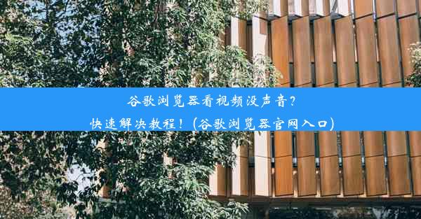 谷歌浏览器看视频没声音？快速解决教程！(谷歌浏览器官网入口)