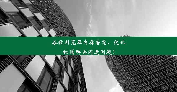 谷歌浏览器内存告急，优化秘籍解决闪退问题！