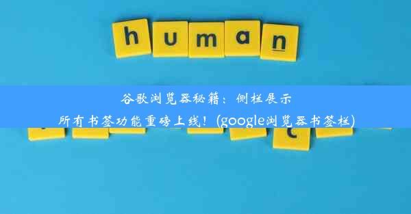 谷歌浏览器秘籍：侧栏展示所有书签功能重磅上线！(google浏览器书签栏)